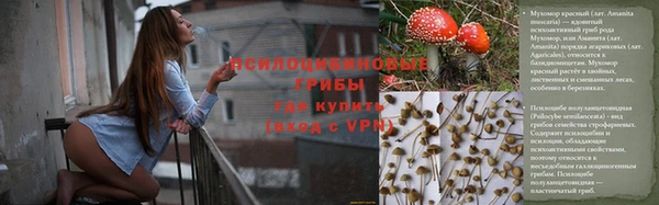 mix Алексин