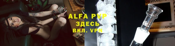 прущие грибы Абдулино