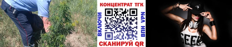 Дистиллят ТГК концентрат Новоалтайск
