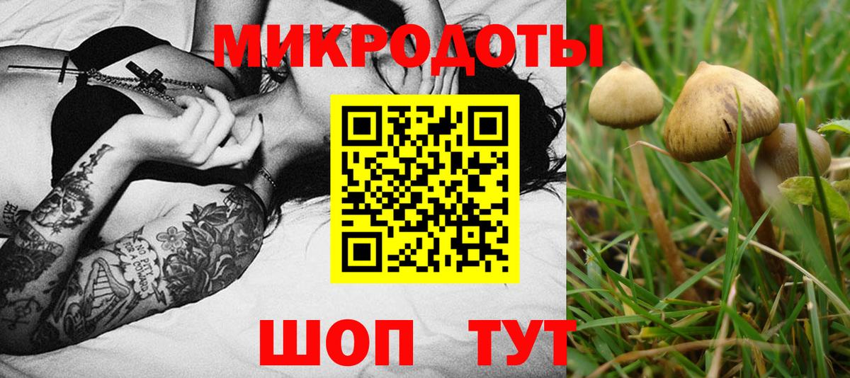 цены   Вход с VPN  Новоалтайск  Галлюциногенные грибы Psilocybine cubensis 